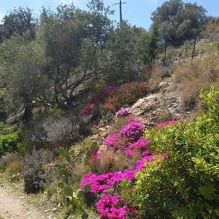 Holiday home Mas Del Roumany Port Vendres