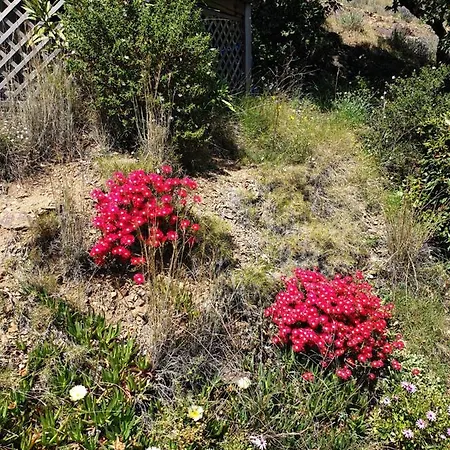 Mas Del Roumany Port Vendres