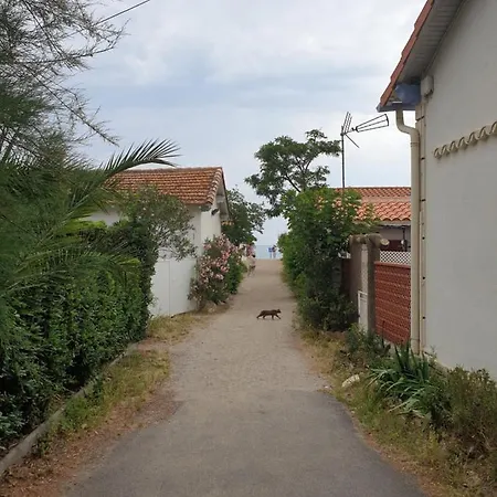 Ferienhaus Mas Del Roumany