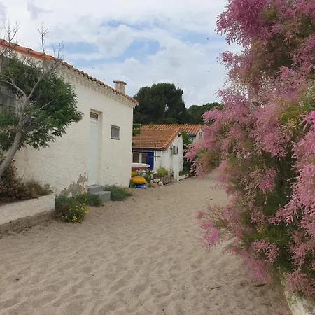 Mas Del Roumany Holiday home *
