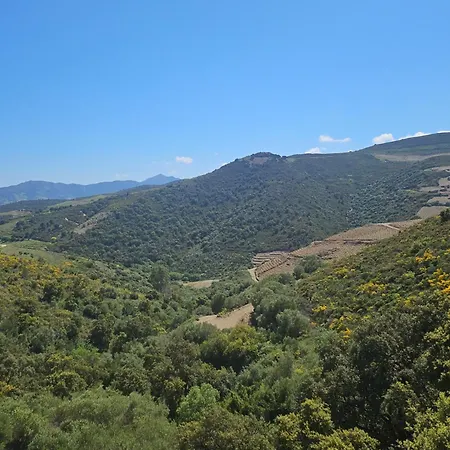 Feriehus Mas Del Roumany *